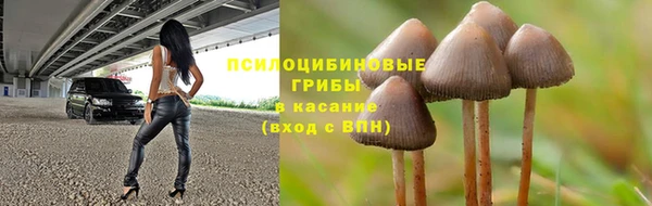 spice Беломорск