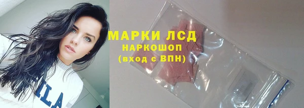 spice Беломорск